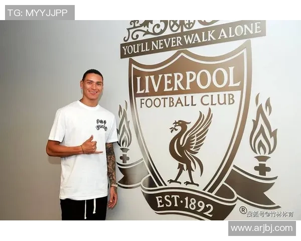 努涅斯在赛季中的崛起与挑战分析，展望未来的足球生涯与发展潜力